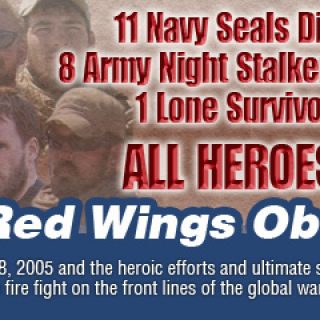 Operation Red Wings