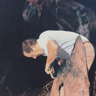 Horseshoeing (Farrier) Services