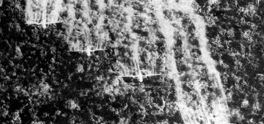 Statement from Secretary of Veterans Affairs on Agent Orange Presumptive Conditions