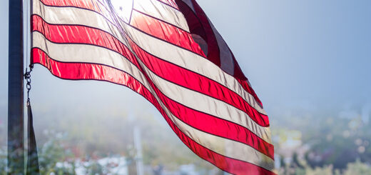 2022 Veterans Day Poster