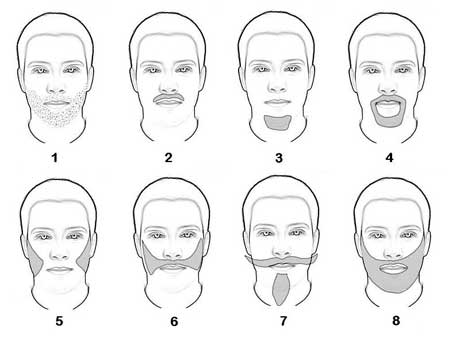 Beards and Mustaches Beards and Mustaches