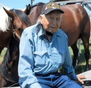Chief David Bald Eagle