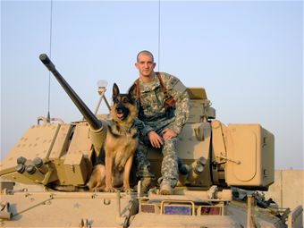 Military Dogs