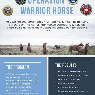 Operation Warrior Horse