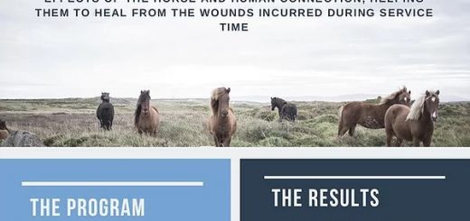 Operation Warrior Horse