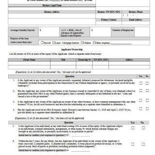 Paycheck Protection Program Borrower Application Form - Veteran Owned Businesses