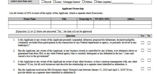 Paycheck Protection Program Borrower Application Form - Veteran Owned Businesses