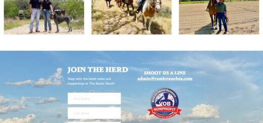 Rustic Ranch Equine Assisted Therapy - Veteran Owned Nonprofit Member
