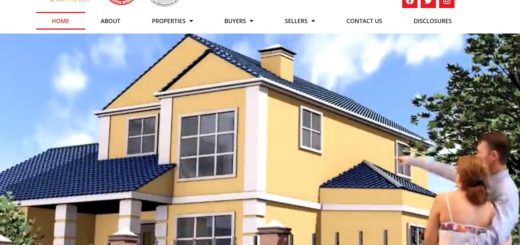 The Xcelsis Group - Veteran Owned Business