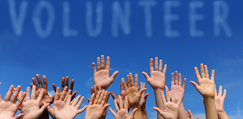 VA Volunteers