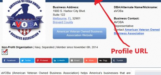 Veteran Owned Business Profile Link Address