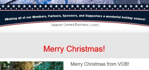 Veteran Owned Business Christmas Newsletter